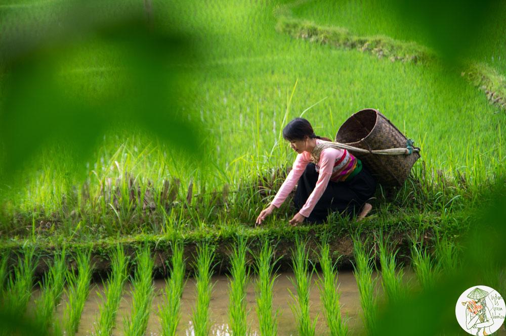 Pu Luong – Charming Tourism